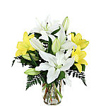 A clear glass vase holds several white and yellow lilies arranged for sympathy gift giving across Canada.