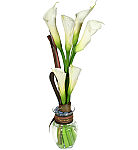 Six or more white calla lilies are artistically arranged, wrapped and accented with tropical flax leaves.