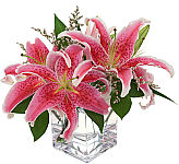 Send them a budget friendly starry display of fragrant lilies simply arranged in a clear glass cube vase. An affordable, popular gift suitable for many occasions · or just because.