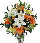 Yellow, orange and white lilies arranged in a clear glass vase. Fresh lilies delivered same day across Canada.