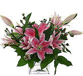 Unique display of stargazers, carefully arranged in a glass cube vase with added delicate complementary flowers. A fragrant and eyecatching gift.