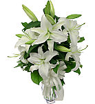 Beautiful white Casablanca lilies arranged in a clear glass vase with matching white bow.
