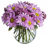 Teleflora's Delightfully Daisy delivered in a bubble bowl and bursting with joy.