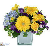 Give April Morning... our cube vase of yellow, blue and purple flowers for anytime gift giving. Same day flower delivery across Canada.