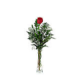 Choose from one to thirty six long stemmed red roses, florist arranged in a glass vase with greens and baby's breath, and hand delivered across Canada.