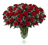 ブラッド・レッド・ローゼズ ブラッド・レッド・ローゼズ Amazon.com: Blood Red Roses: CDs