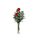 Choose from one to thirty six long stemmed red roses, florist arranged in a glass vase with greens and baby's breath, and hand delivered across Canada.