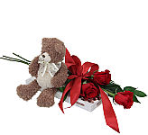Give her this wonderful combination of three long stem red roses, box of assorted chocolates and plush teddy bear. Same day delivery across Canada with Canada Flowers.