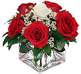 A modern cube vase is arranged with 5 red roses surrounding a single white rose. Expressing love, unity and innocence.
