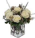 Six white roses for sympathy delivered to the family home from Canada Flowers at CanadaFlowers.CA. Secure, reliable, friendly... guaranteed.