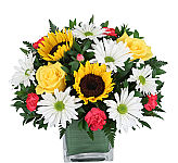 Leaf lined cube vase of sunflowers, yellow roses, white daisies, hot pink mini carnations, and greenery.