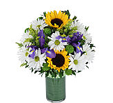 ​Leaf lined cylindar arranegemnt of sunflowers, purple iris, white daisies, geen button poms and solidego.