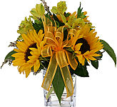 Radiant, modern cube vase arrangement of sunflowers and alstroemerias. Send them some sunny smiles.