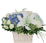 A whitewash handled basket is arranged with cream roses, white lilies, spray roses and more with added blue flowers.