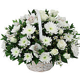 A lovely sympathy arrangement of all white flowers in a handled basket. Flowers include popular alstroemerias, roses, chrysanthemums and more.