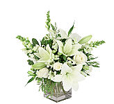 Remember them with this contemporary cube vase arrangement of all white flowers. A fitting sympathy gift. Available same day.