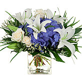 Express your sympathy with a beautiful floral arrangement of white lilies, cream roses and blue hydrangea.