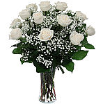 Twelve white roses for sympathy. Same day florist delivery to most towns and cities across Canada.