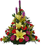 Send your best sympathy wishes with this colourful single sided sympathy arrangement. They'll appreciate your thoughtfulness.
