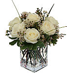 Express your sympathy sentiments with a vase arrangement of six white roses in a bed of delicate waxflower. Same day delivery across Canada.