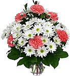 Longlasting sympathy flowers for the family residence. Pink carnations and white daisies are an uplifting combination of flowers and colours that will be appreciated.