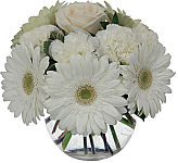 Beautiful white blooms encircle and embrace a single white or cream coloured rose. This clear glass bowl is arranged with Gerbera daisies, carnations, and a single rose. A lovely gift that is well suited for the family home during a time of loss.