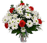 Longlasting budget sympathy flowers for the family residence. Red carnations and white daisies express the fond memories you will keep in your heart.