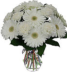 Pure and elegant vase arrangement of all white flowers to express sympathy. Same day delivery across Canada.