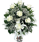 Six white roses for sympathy delivered to the family home from Canada Flowers at CanadaFlowers.CA. Secure, reliable, friendly... guaranteed.