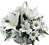 Canada Flowers presents Solace, an affordable basket arrangement of white lilies, alstroemerias and daisies. A serene gift to express sympathy.