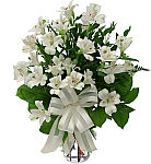 Splendid white peruvian lilies arranged in a vase for sympathy gift giving. Trust Canada Flowers with your sentiments.