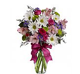 Shop online for Teleflora's affordable Pretty Please Bouquet. Available for same day delivery across Canada with Canada Flowers, Canada's National Florist.