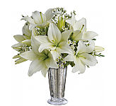 Teleflora's Written in the Stars