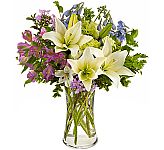 Teleflora's Heavenly Hamptons white lilies, blue delphinium and purple and green blooms is just right for any occasion.