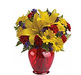 Red vase of yellow lilies, yellow daisy mums, red carnations and purple statice. Florist delivery available to almost anywhere in Canada.