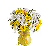 White and yellow daisies are arranged in a pretty yellow vase with matching ribbon. Sold at a great price that includes delivery, too!