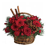 Spice up any Christmas celebration with this delightfully fragrant holiday spice basket, featuring a mix of fresh red blossoms, pinecones and real cinnamon sticks, beautifully arranged in a rustic handled basket. A festive satin ribbon adds an extra touch of cheer.