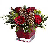 Bring a cozy touch of Christmas to a favourite friend or co-worker with this homey floral arrangement that's perfectly simple yet wonderfully festive! Fresh red blooms, evergreens and golden pinecones are delivered in a ruby red cube vase. An excellent selection for any residence or office. Red roses and gerberas, plus green button mums are accented with berries, mixed evergreens and pinecones.