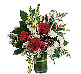 Teleflora's Festive Pines Bouquet