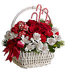 Teleflora Christmas Flowers by Canada Flowers. Sweet Celebration Basket with Candy Canes. Same day delivery across Canada.