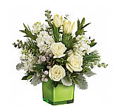 Teleflora's Winter Pop Bouquet
