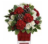 Teleflora's Make Merry Bouquet by Canada Flowers is an affordable holiday treat with red and white carnations, frosted pinecones, berries, holly and seasonal greens in a red cube vase.