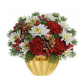 An affordable Christmas arrangement of red and white blooms with pinecones and berries, arranged in a golden container.