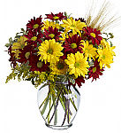 Mixed daisies in a glass vase for Fall, with seasonal trimmings. Featuring same day delivery to most towns and cities across Canada.