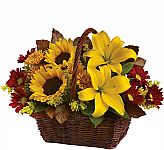 A dark wicker handled basket is arranged with colourful Fall flowers, including sunflowers, bronze and burgundy chrysanthemums, solidaster and fall foliage. Avaiable for same day delivery across Canada.