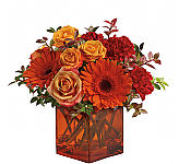 Orange and red flowers arranged in a tinted glass vase for Fall flower giving. Same day delivery across Canada with Canada's National Florist.