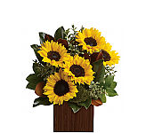 A bamboo container is arranged with serveral golden sunflowers and lush, assorted greenery.
