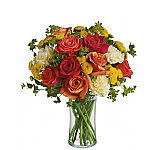 Teleflora's Citrus Kissed