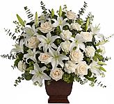 A beautiful funeral tribute in a classic urn design featuring creme roses, white lilies and white carnations.