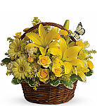 An inspiring and uplifting basket of assorted yellow flowers, expertly arranged and hand delivered across Canada.